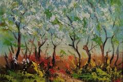 344536393_1901732270202331_8810362317077086422_n