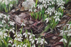 Кокичета , маслени бои/платно , 20/15 см