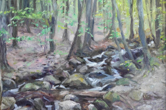 Планински поток , маслени бои/платно , 35/27 см