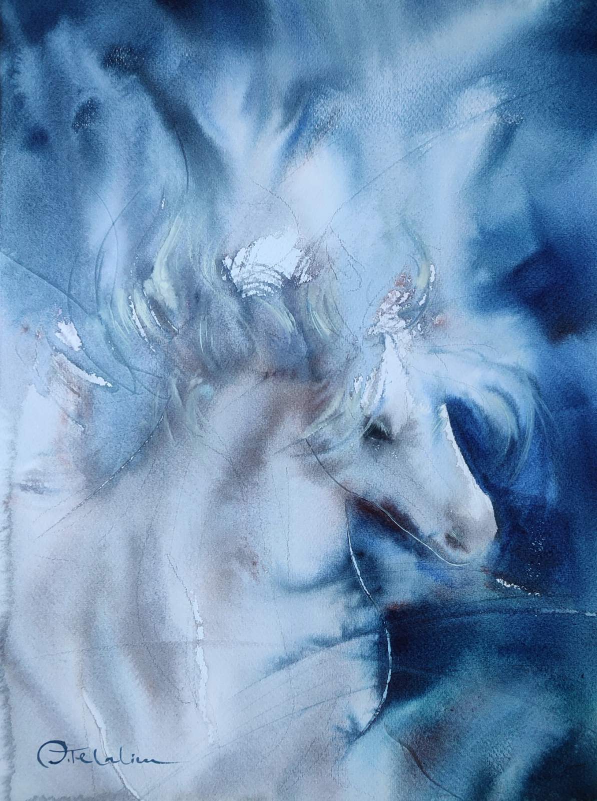 viber_изображение_2026-01-30_23-18-54-525